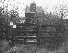 Details of the cattle dock at Borwick, quite a small affair between the end of the station platform and the goods shed road.